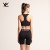 澳洲YPL 蜜桃臀3D健美短裤（均码 中腰 薄款）